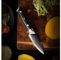 Damascus 3.5" Parer knife 67 layers G10 black composite full tang